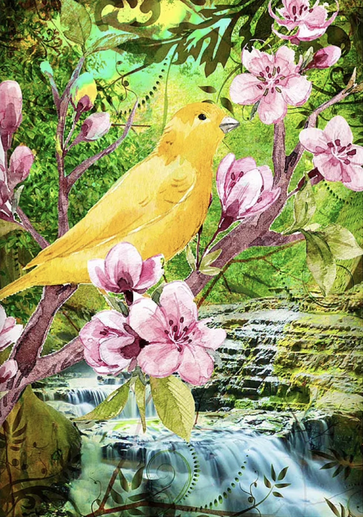 card